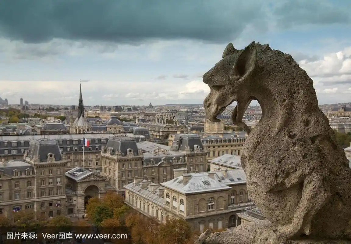 巴黎圣母院风雨中的滴水嘴兽