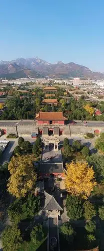 组图摄影:崔传义    春天的岱庙宛如一个大花园展示