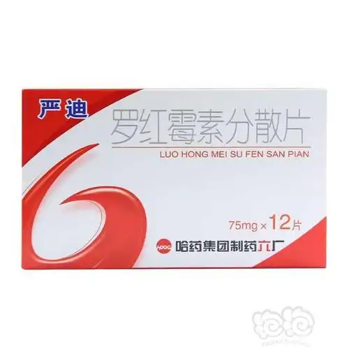 抱着试试的心态,把罗红霉素分散片扔进去两颗,次日有明显好转,五于是