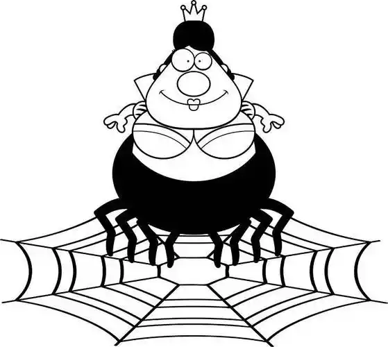 卡通,蜘蛛,插画,蜘蛛网_高清图片_全景视觉