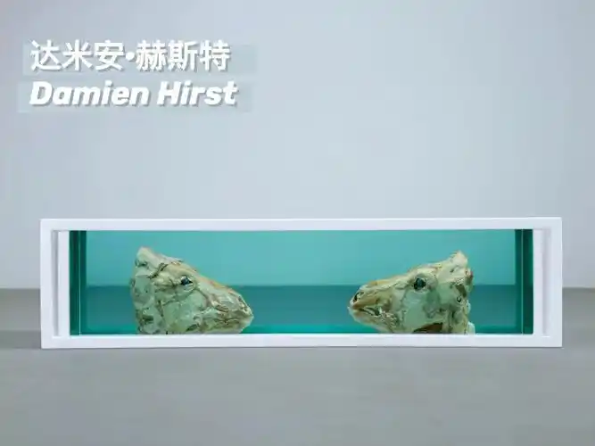 新展速递00福尔马林的naturalhistory