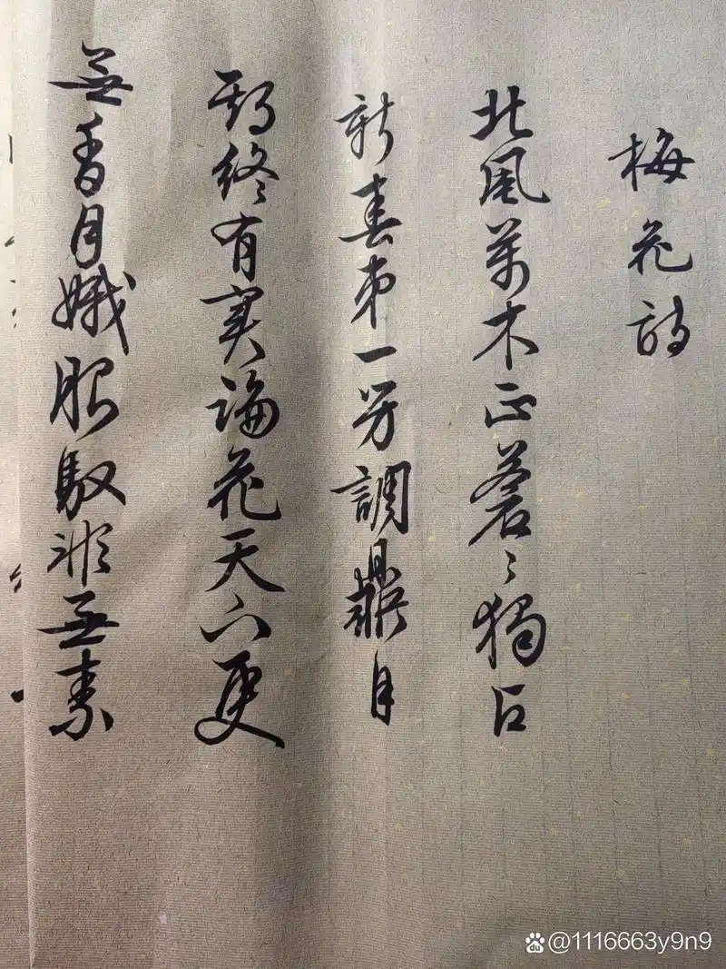 文征明梅花诗初临