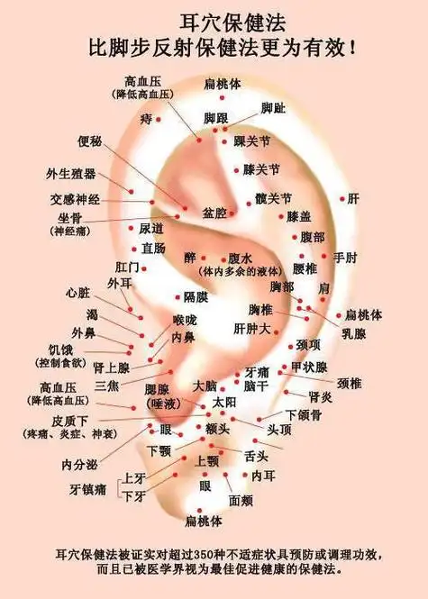 揉耳朵还能养生治病?中医:比捏脚好使