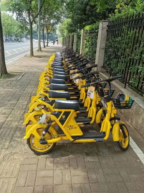 共享电动车回归