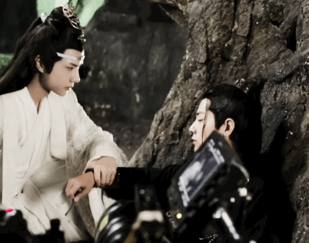 博君一肖肖战王一博忘羡～动图