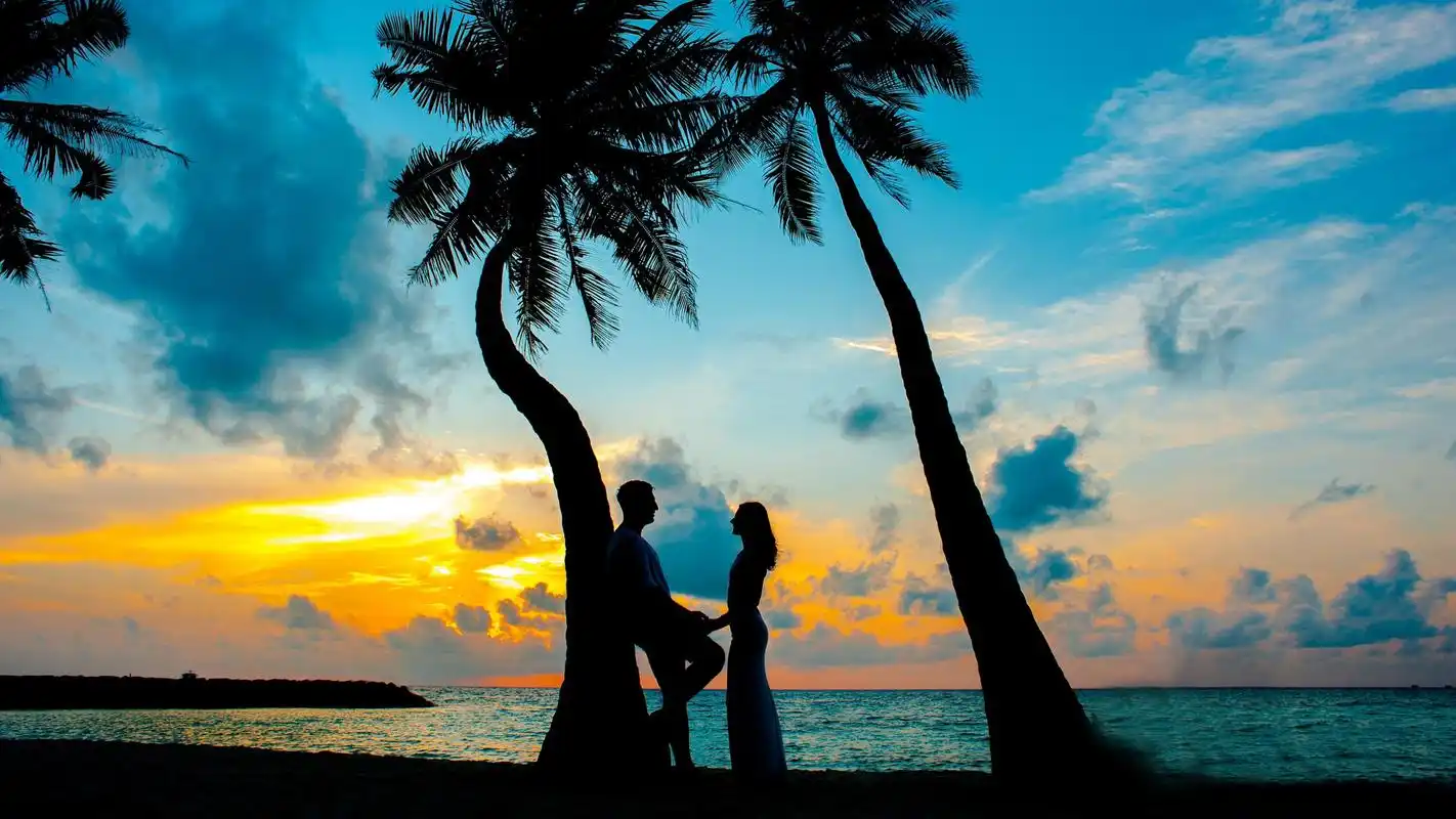 七夕情侣唯美剪影