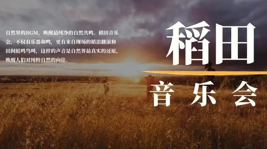 2021稻田麦田音乐会秋天丰收季主题活动活动策划方案-55p
