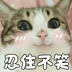 猫萌宠喵星人猫咪忍住不笑soogifsoogif出品gif动图_动态图_表情包