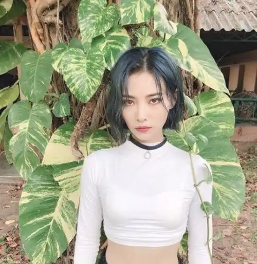 许佳琪把"露脐装"穿火了,开春这样穿魅力十足