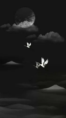 黑色系/仙气背景图_手机壁纸_风景静物手机壁纸_我要个性网