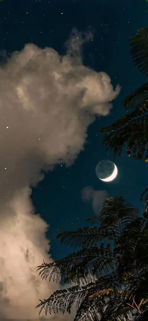 的文案##适合微信置顶的文案##ins风壁纸##朋友圈背景图##月亮壁纸