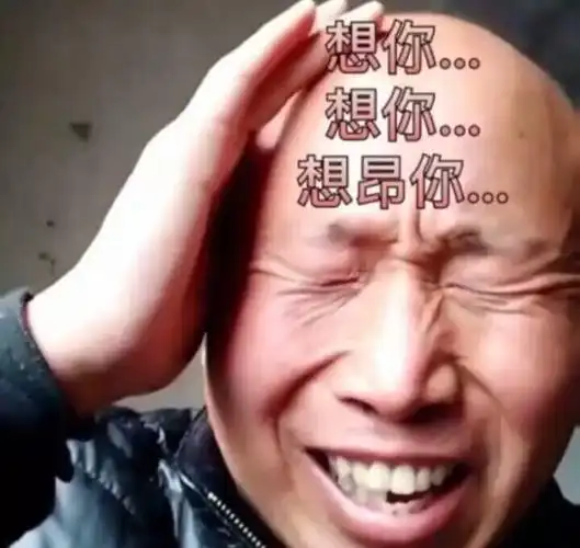 哈哈哈(雄鹰高飞)emmm想你想你想我(高飞老师表情包)我有一点点爱你