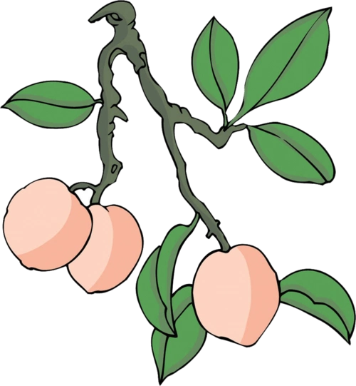 卡通树木图片大全_卡通树木图片素材【png免费下载】-90设计网