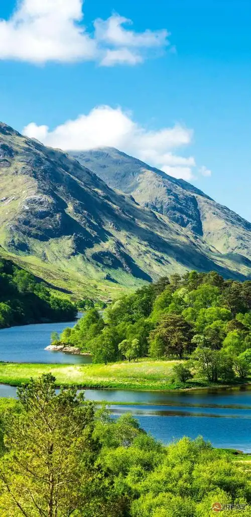 1080_2220竖版 竖屏