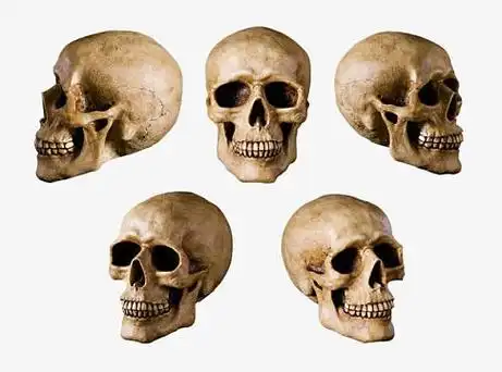 tou明球素材_tou明球图片元素-觅元素