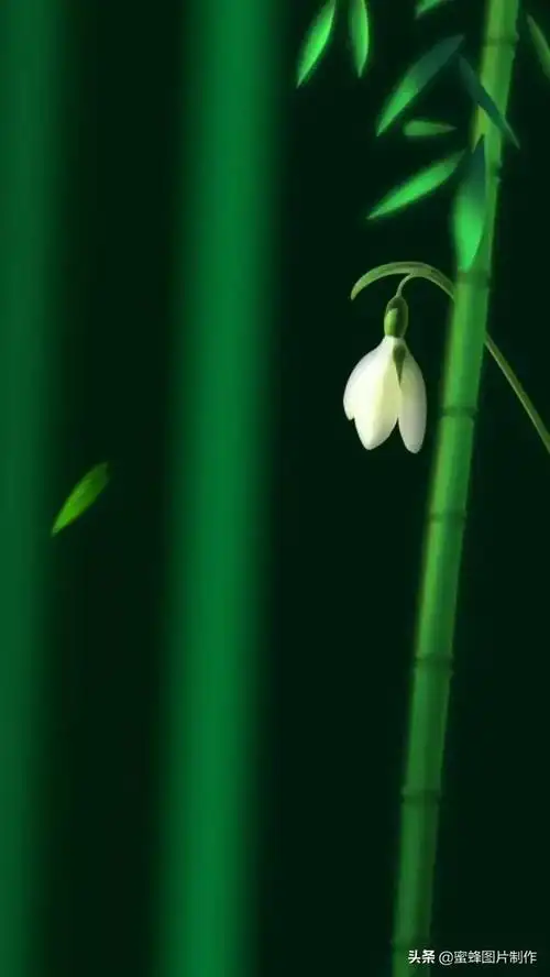 超养眼的手机壁纸,漂亮养眼的手机屏幕壁纸(手机壁纸,养眼护眼舒心