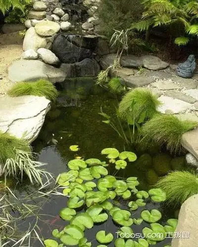 庭院水池如何设计更好7种类型的庭院水池设计图赏析