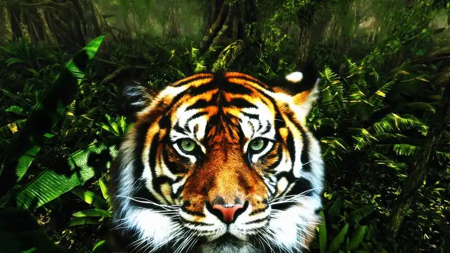 威猛凶悍老虎壁纸_超有气势的老虎