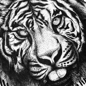 点绘哥特插画动物系列之虎