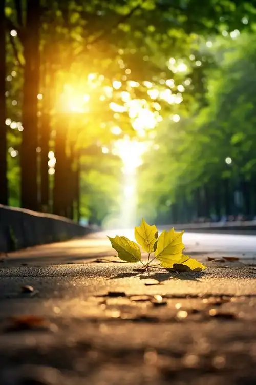 温柔如水,生活美好