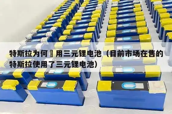 特斯拉电动汽车用锂电池