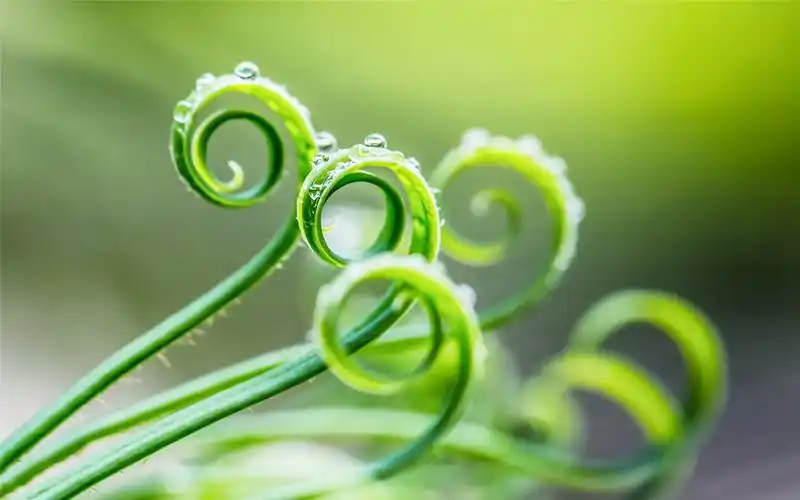 第二辑,风景壁纸,养眼,护眼,风景,高清,写真,自然,壁纸,1920x1080