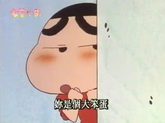 你是个大笨蛋蜡笔小新蜡笔小新笨蛋表情