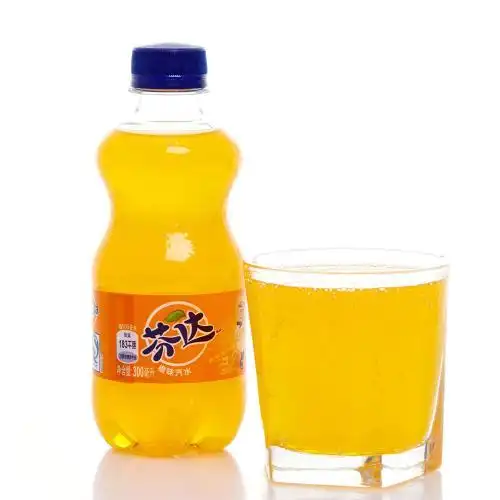 芬达(箱装 300ml*24)