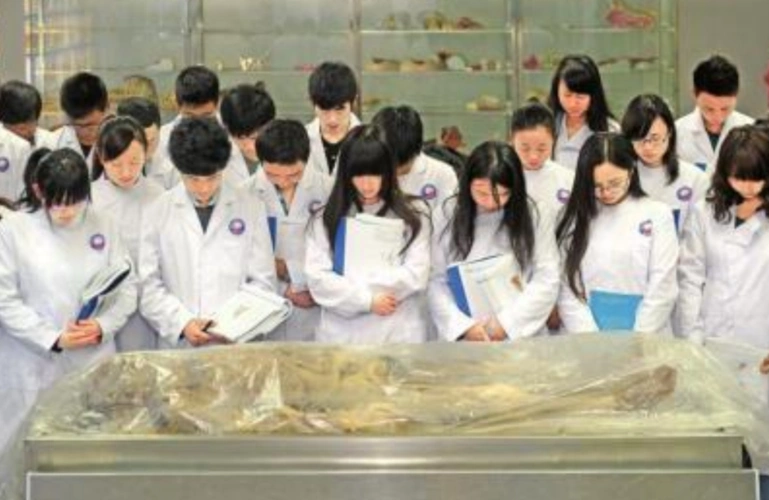 医学院上解剖课时尸体是从哪里来的说出来你或许不相信