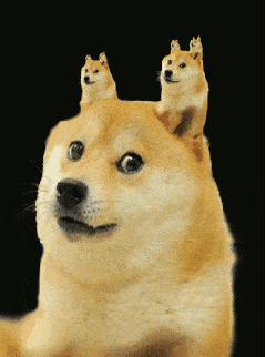 狗子gif萌宠gif可爱gif黄色gif