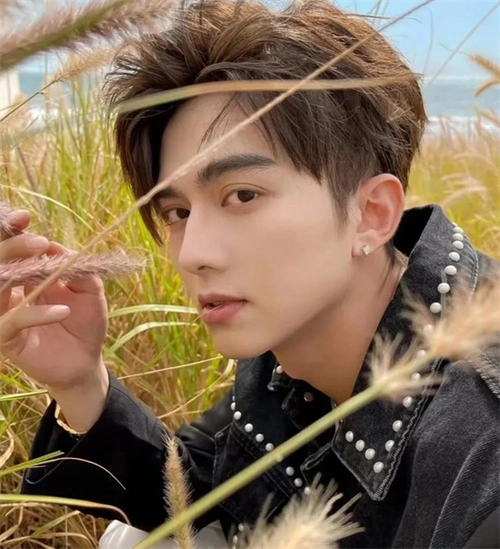 35岁以下男生短发 帅气小奶狗发型_男士短发 - 美发站