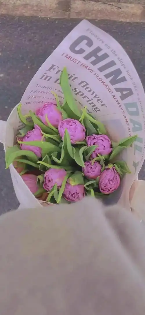 16 ins春天壁纸丨治愈系唯美鲜花高清壁纸 - 知乎