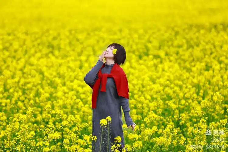 早春最美的风景～油菜花