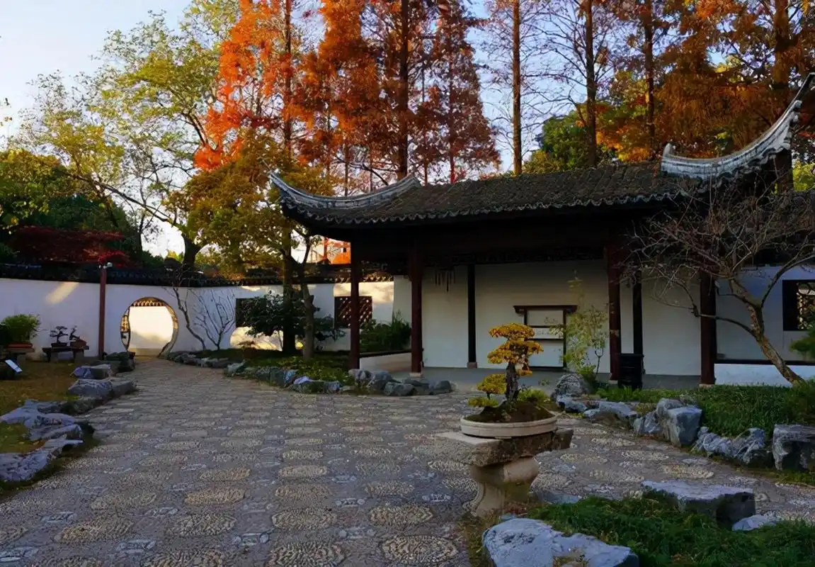 想让庭院漂亮.就得给它做背景