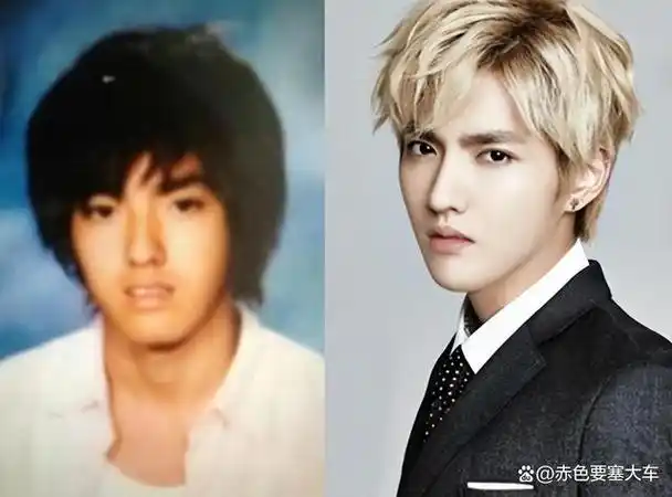 当红顶流入狱母亲找成龙求助父亲引渡加拿大未成功