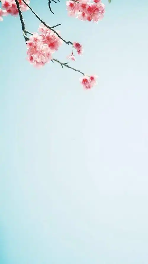 小清新意境春日美景图片