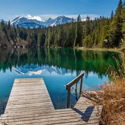 唯美风景头像随风起舞的芦苇图片