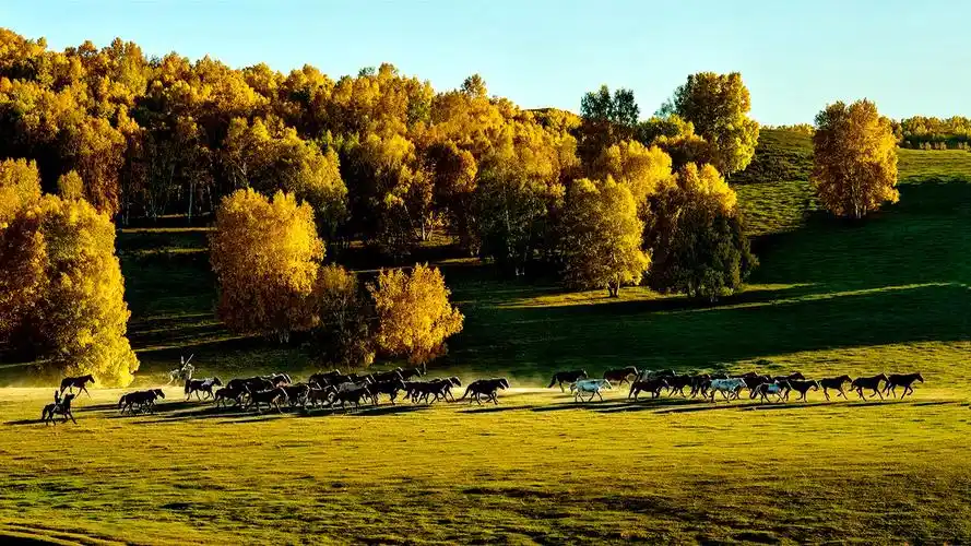 乌兰布统草原自然风光高清图片桌面壁纸高清大图预览1600x900_风景