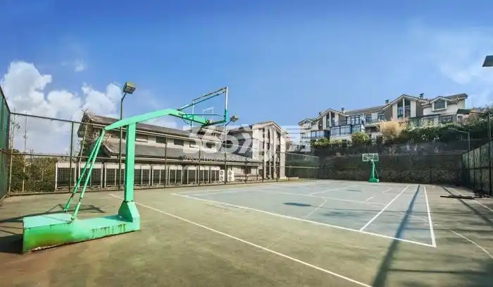 上林湖别墅篮球场实景图