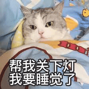 超可爱的猫猫斗图表情包来啦