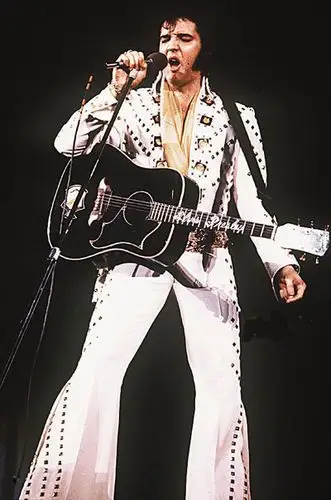 猫王私人飞机将被拍卖预计成交价过亿图