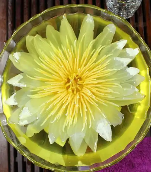 台湾九品香水莲花茶 莲花九品香水莲花茶8朵礼盒装一朵杯时尚旅游方便