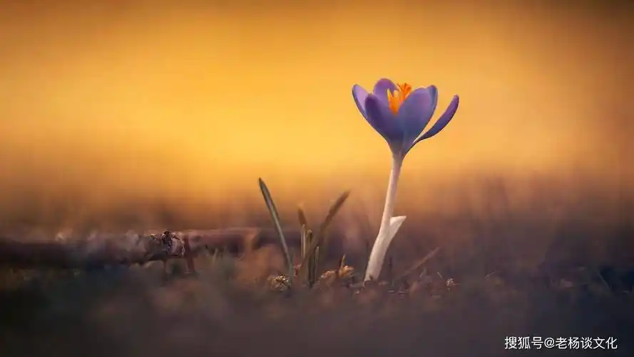背景 壁纸 风景 天空 桌面 1920_1080