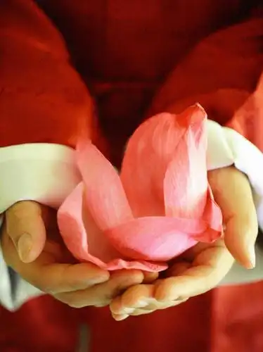 年轻女性,仅一个女性,仅一个人,阴影,朦胧,模糊,盛开,反射,影子,花蕾