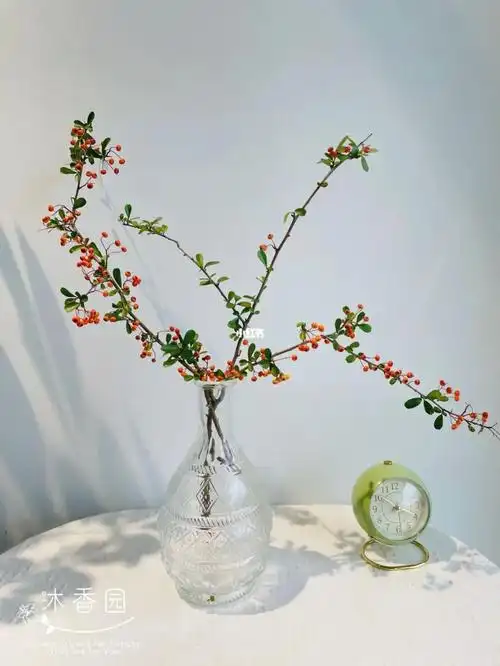 新年瓶插花火棘果句容花店