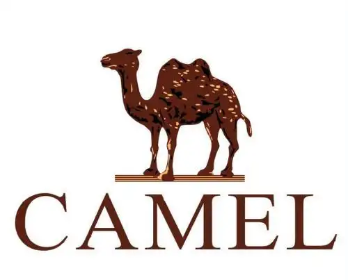骆驼牌户外些标志是camel还是cantorp有和区别