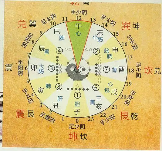 十二时辰养生法则