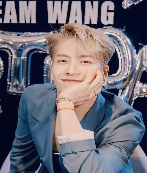 王嘉尔与已婚网红十指紧扣 和女粉大量亲密照曝光插图