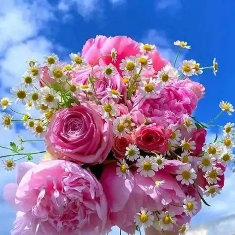 老年微信头像花 - 搜狗图片搜索