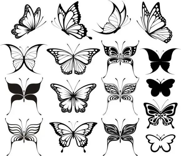 矢量手绘黑白蝴蝶